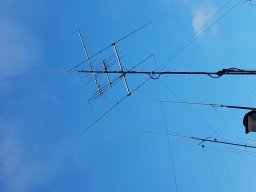 Diverse radiorum , ant fra TM 02